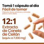 Cápsulas de extracto de canela de Ceilán, una cápsula por día